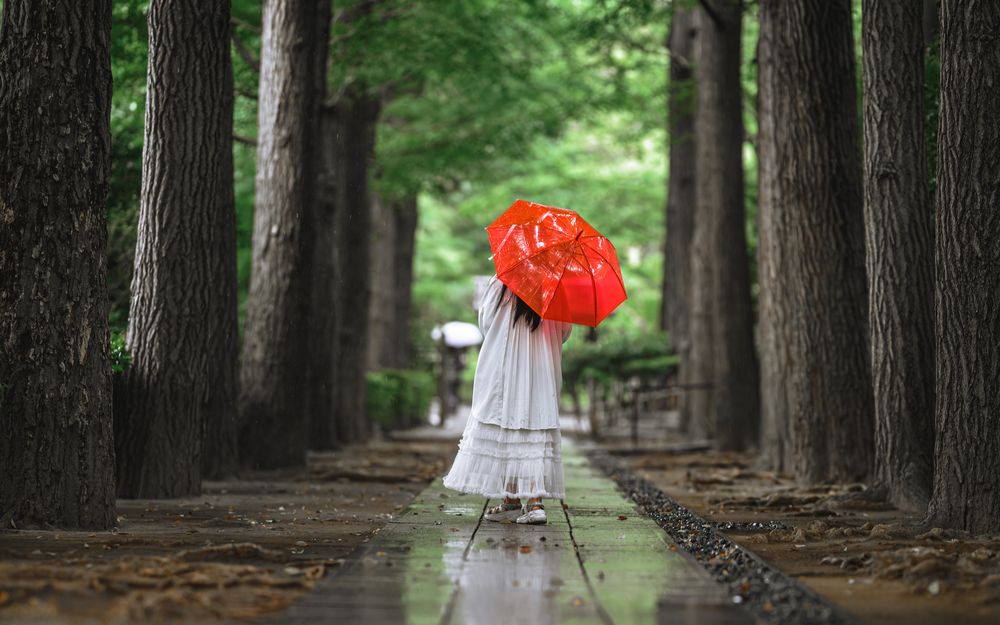 Photograph by Uesan Aliace