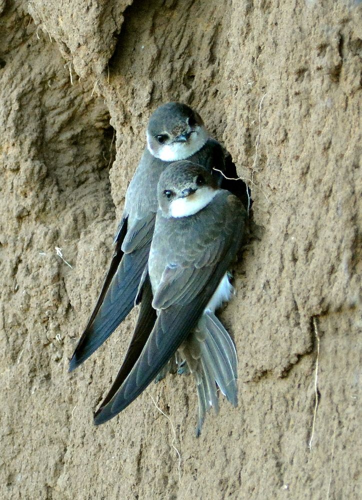 Photograph by Владислав Иопек