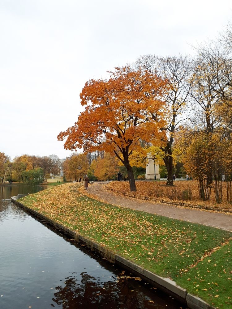 Photograph by Людмила Ковалева