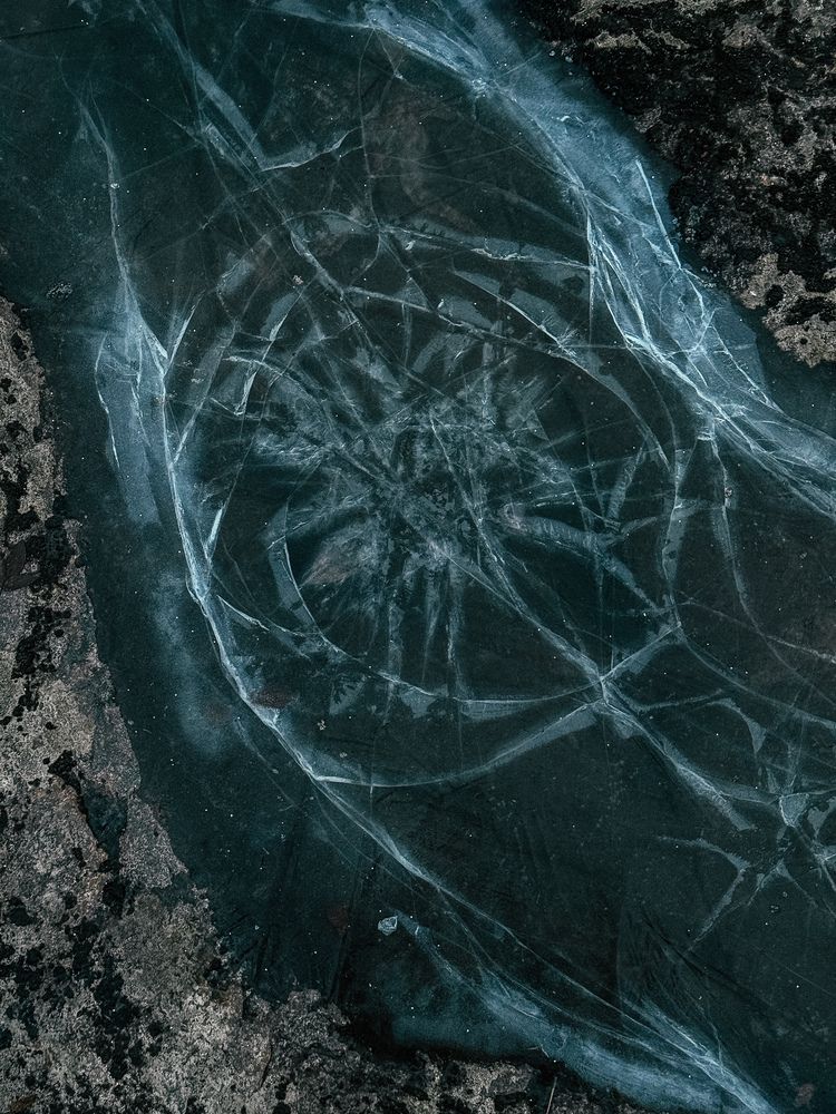 Фотография автора Святослав Комаров