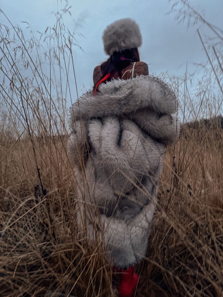 Фотография автора Святослав Комаров