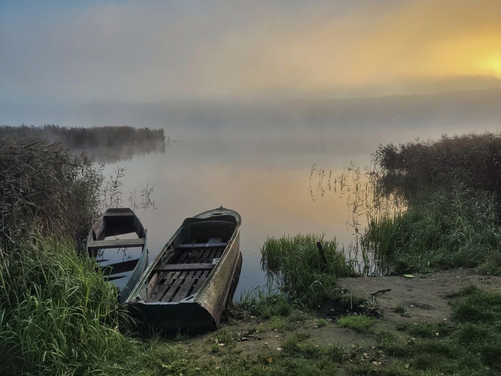 Фотография автора Елена Кошелева