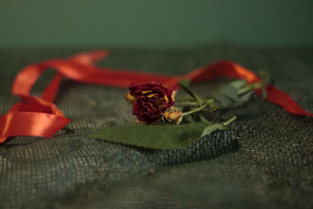 Photograph by Татьяна Гатиятуллина