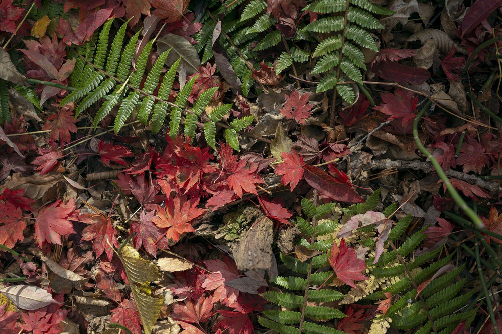 Photograph by Кузнецов Александр