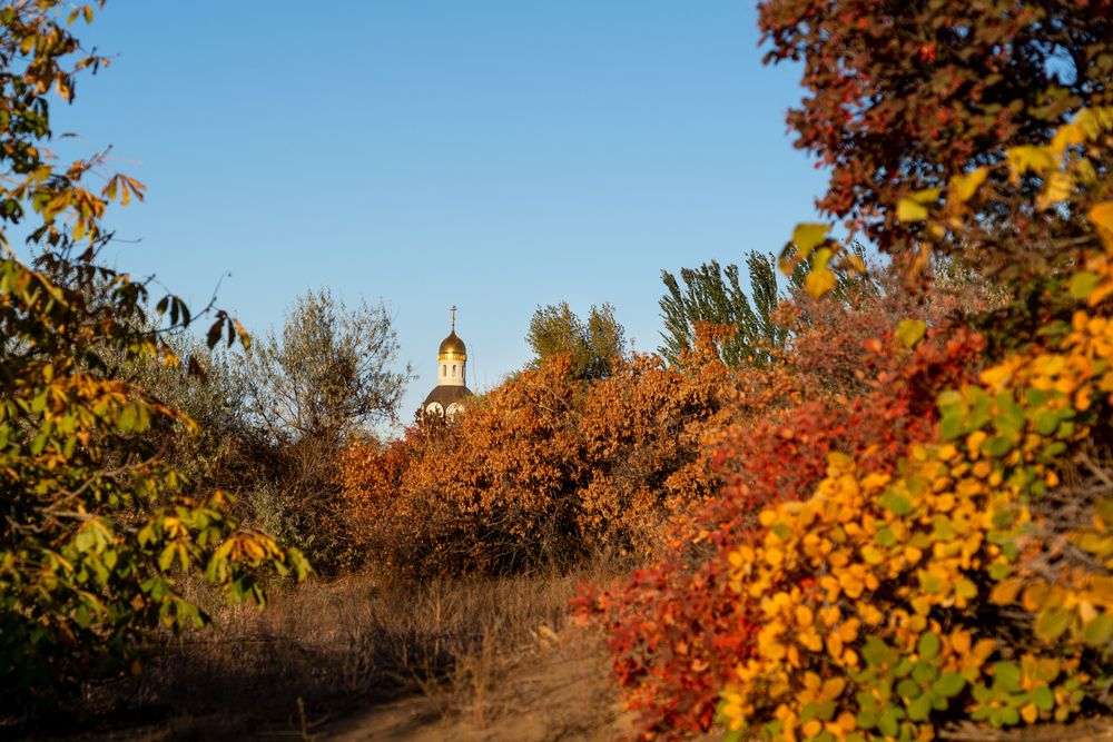 Photograph by Коржова Наталья