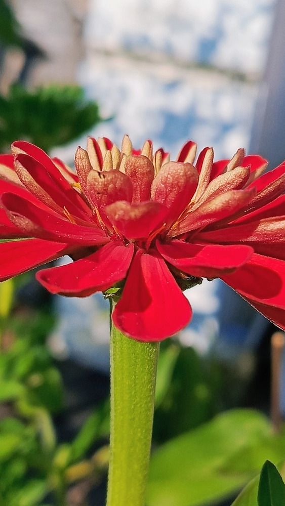 Photograph by Татьяна Никифоровец