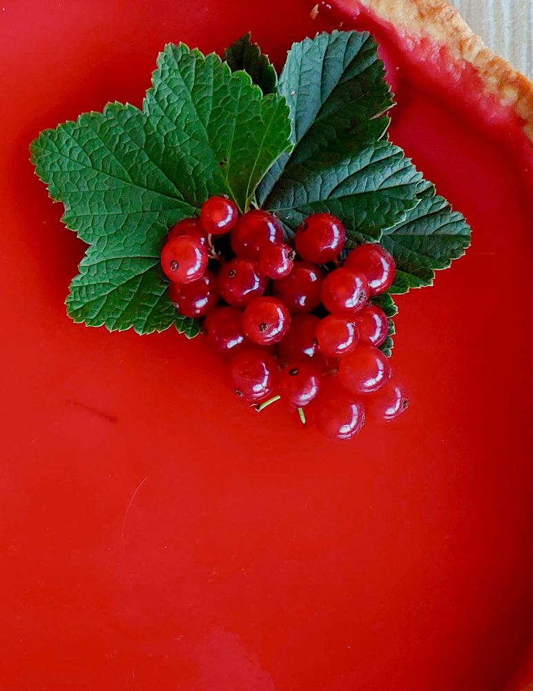 Photograph by Кристина Сысоева