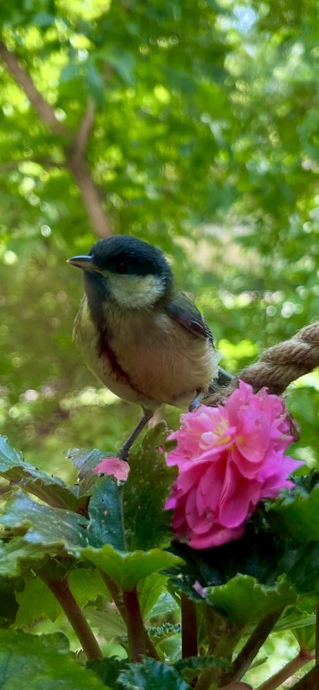 Photograph by Ирина Швейнова