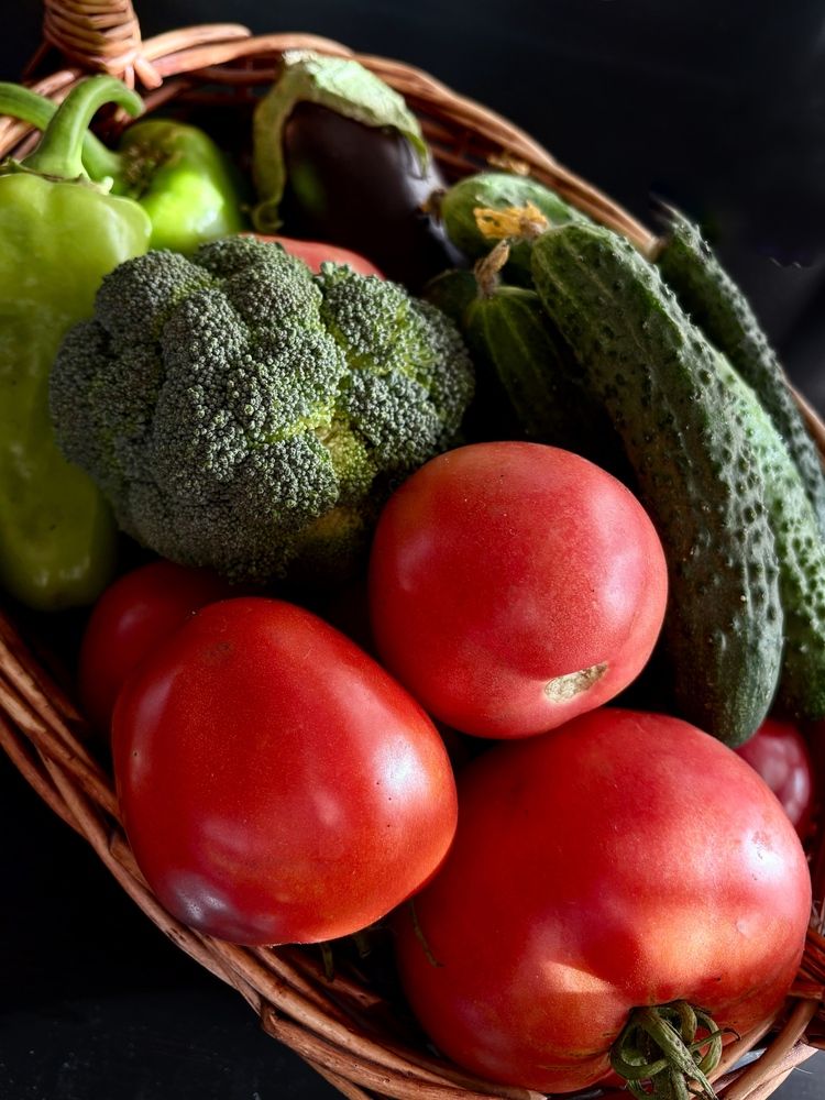 Photograph by Елена Рябова