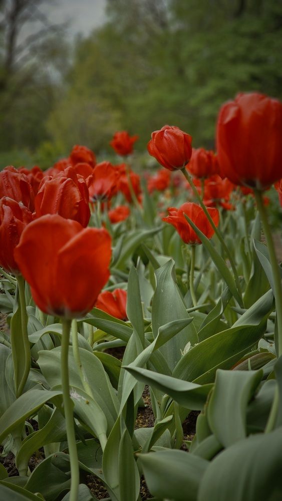 Photograph by Степан Макрушин