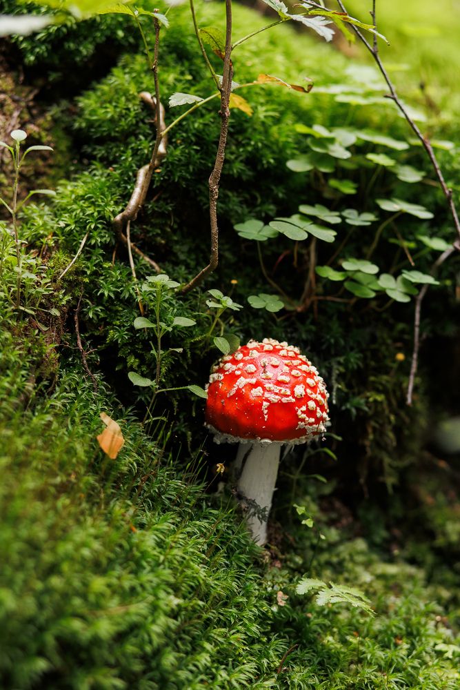 Photograph by Анна Ушакова