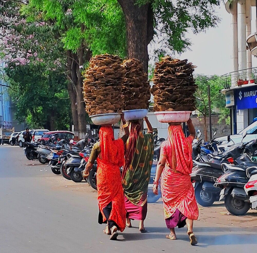 Photograph by Manish (Valmie) Joshi