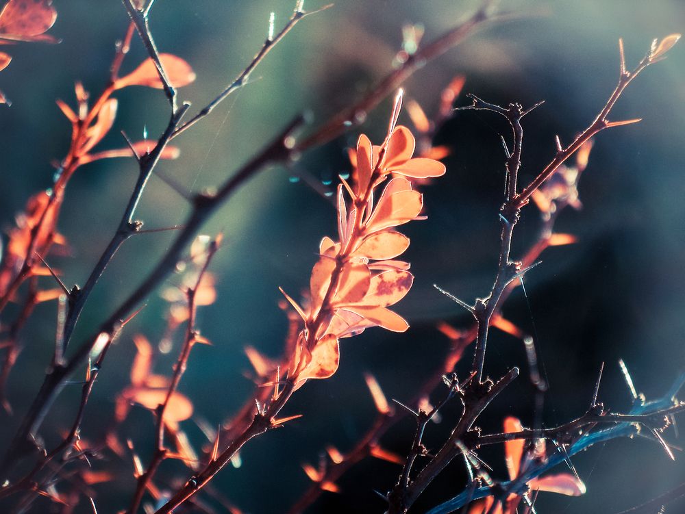 Photograph by Илья Пономарев