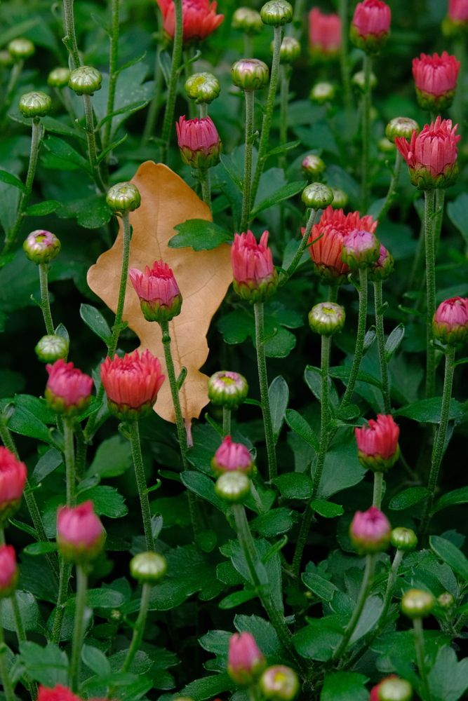 Photograph by Яна Истоцкая