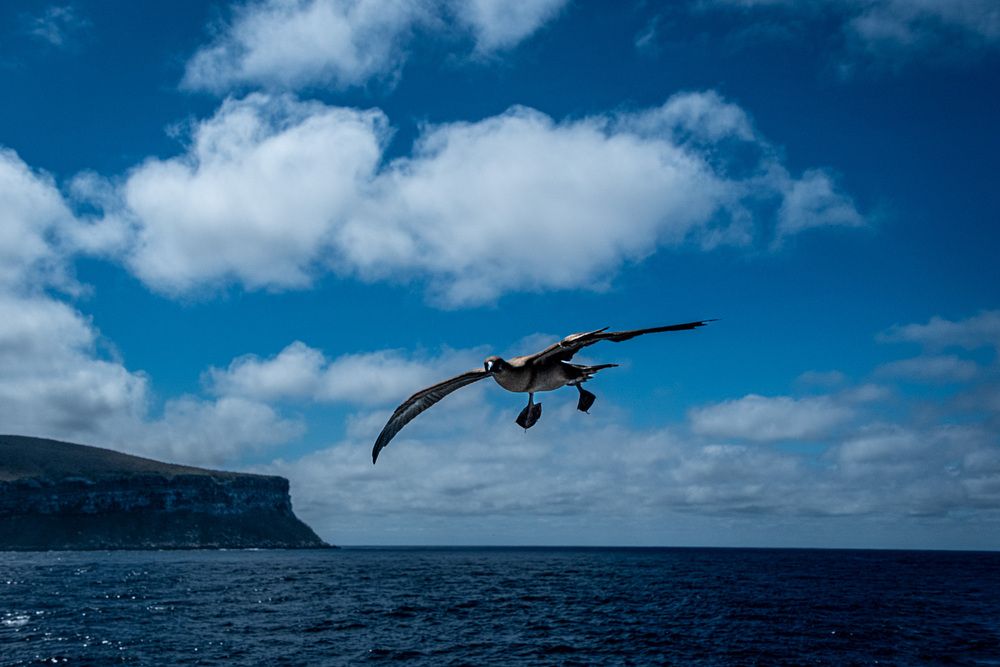Photograph by Дмитрий Плотников
