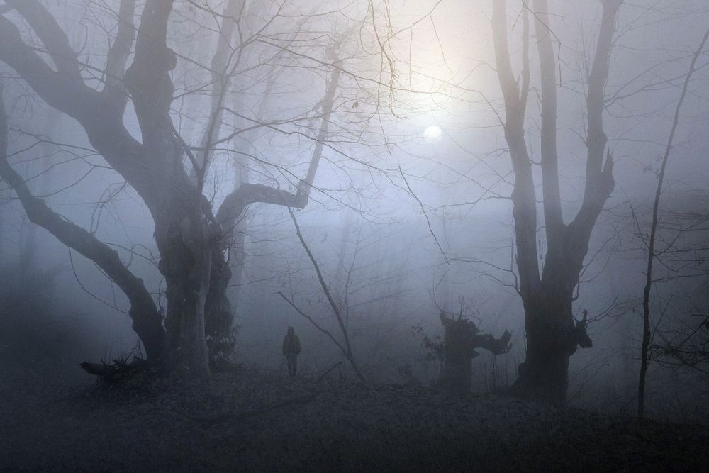 Фотография автора Шипунова Ирина