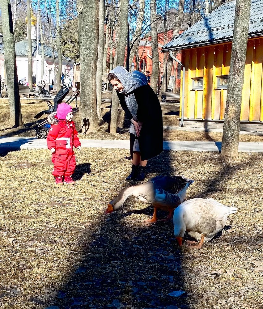 Photograph by Денис Умеренков