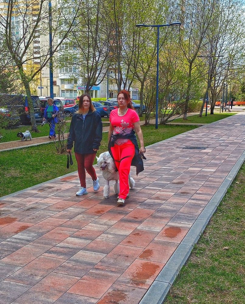 Photograph by Денис Умеренков