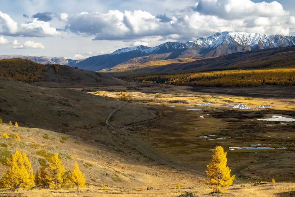 Photograph by Геннадий Кравченко
