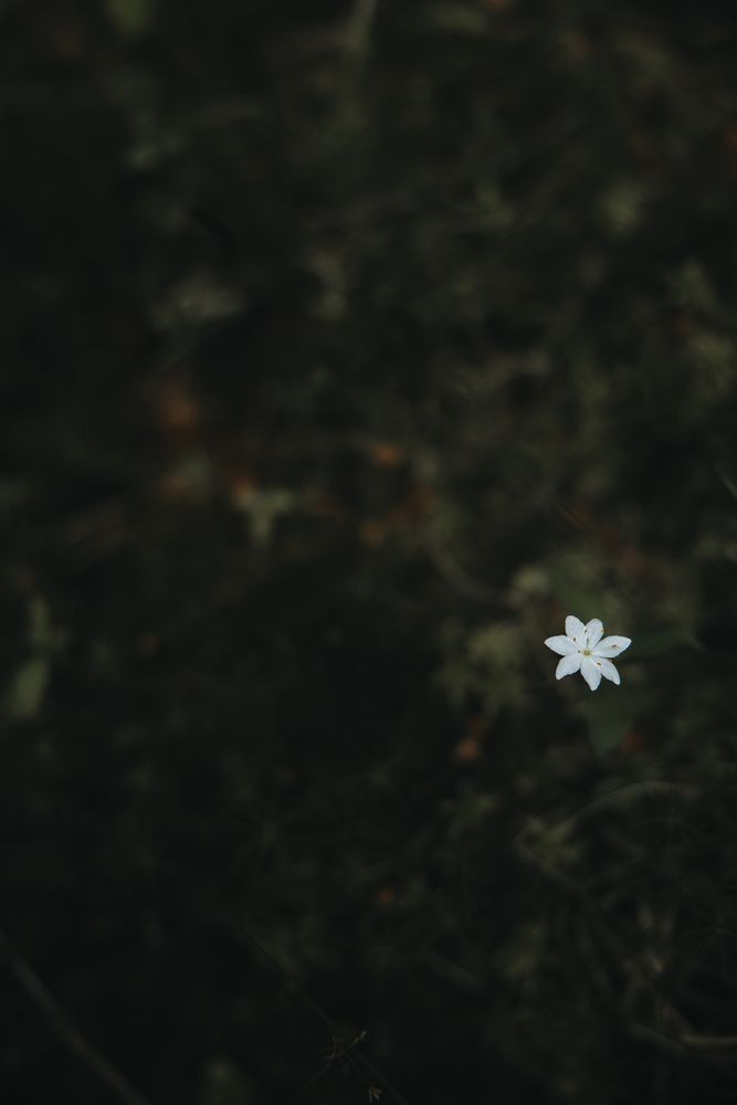 Photograph by Анастасия Белаш