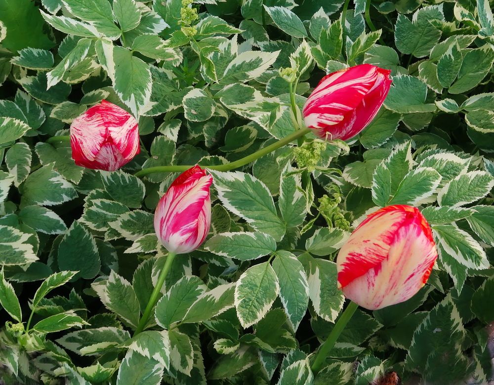 Photograph by Нина