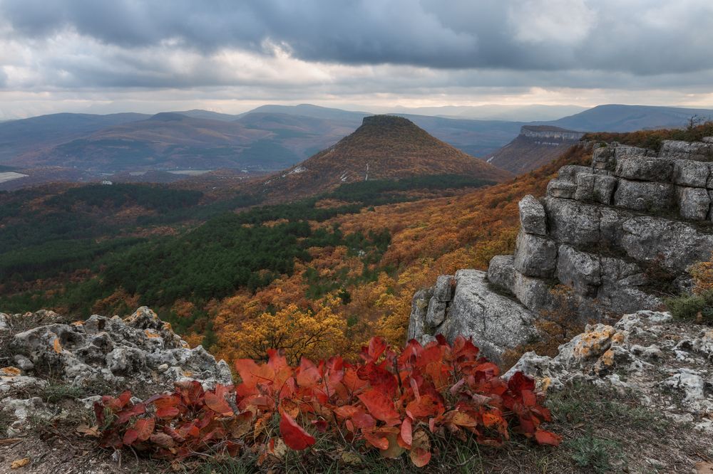 Photograph by Дмитренко Екатерина