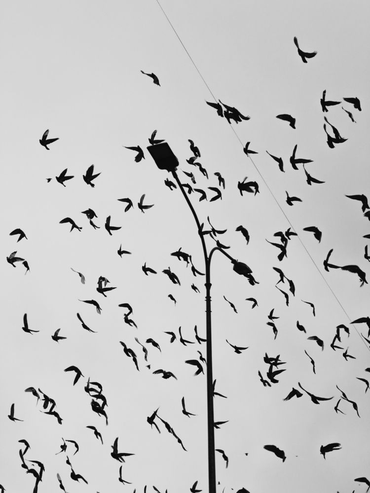 Photograph by ALISA NEZHINSKAYA