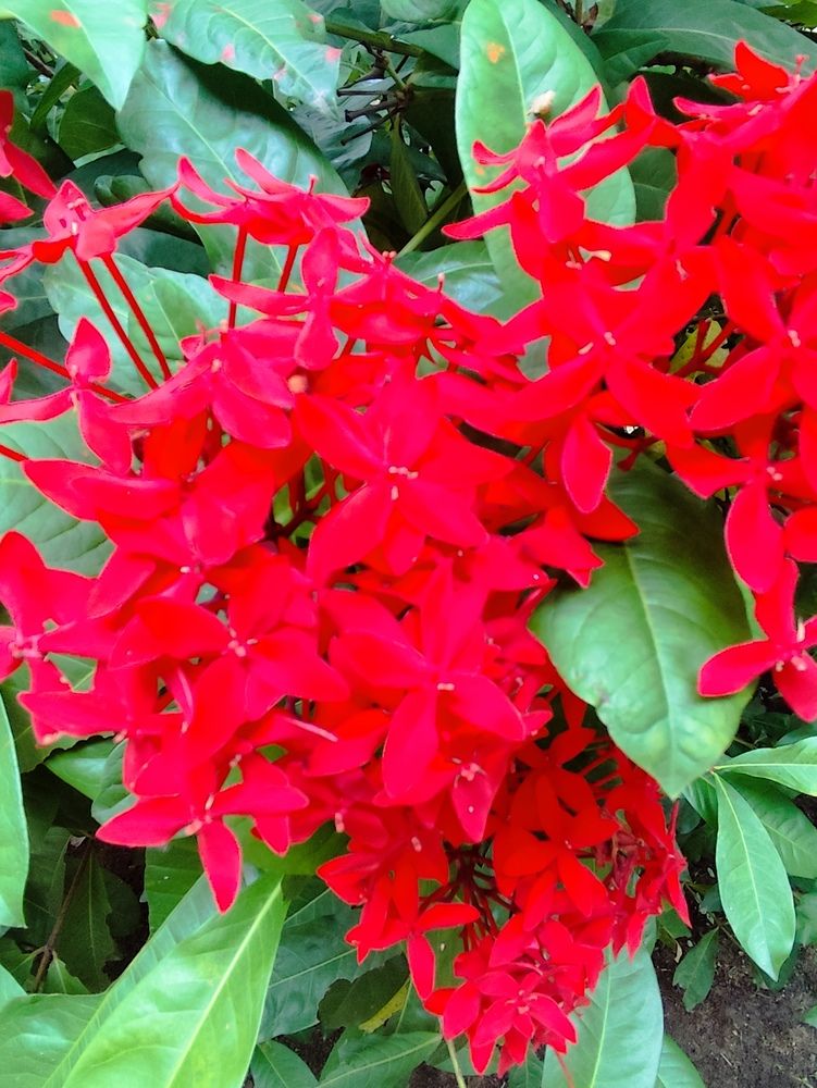 Photograph by Наталья Додонова