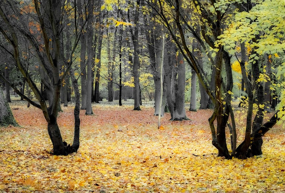 Photograph by Гордий Михаил