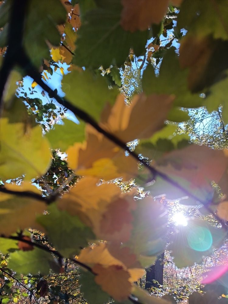 Photograph by Ольга Шевцова