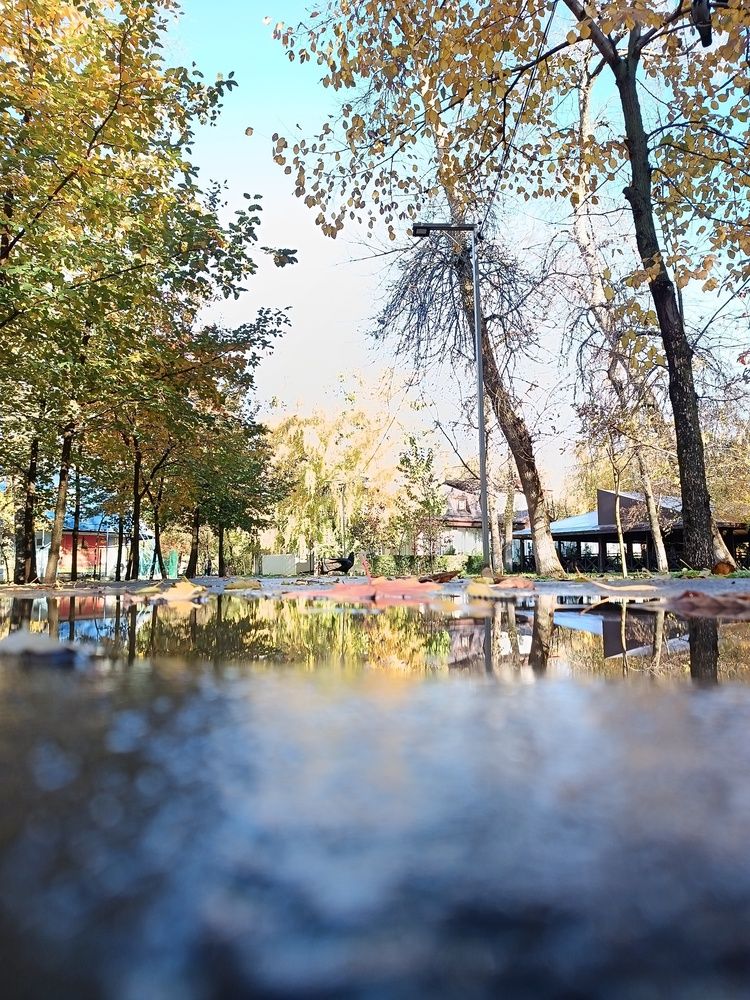 Photograph by Ольга Шевцова