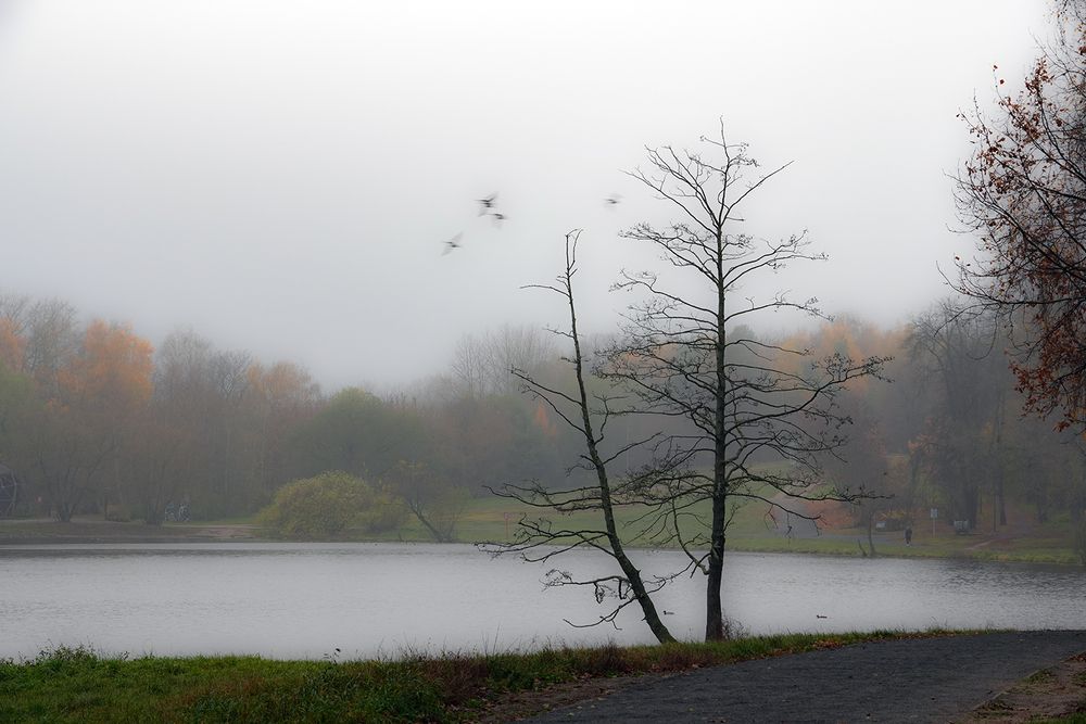 Photograph by Духанин Сергей