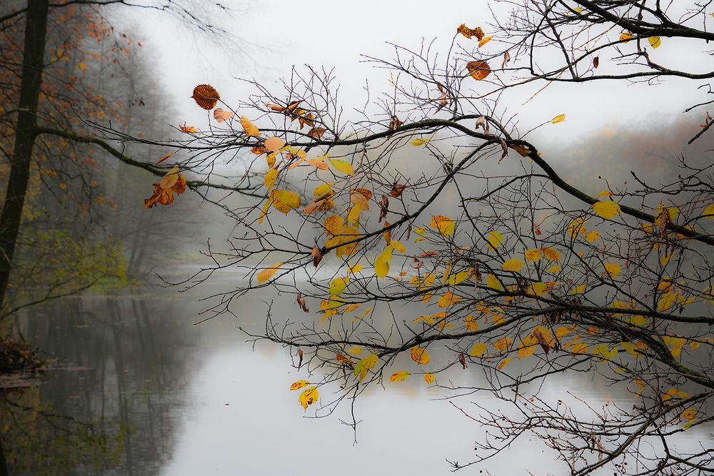 Photograph by Духанин Сергей