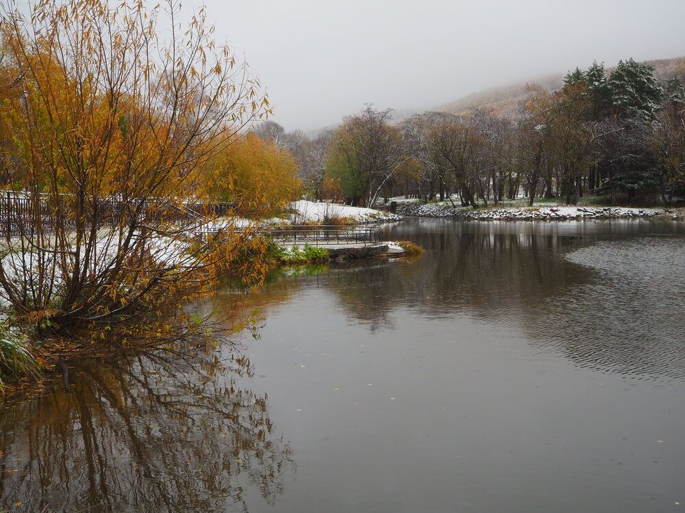 Фотография автора Olena Vorotyntseva