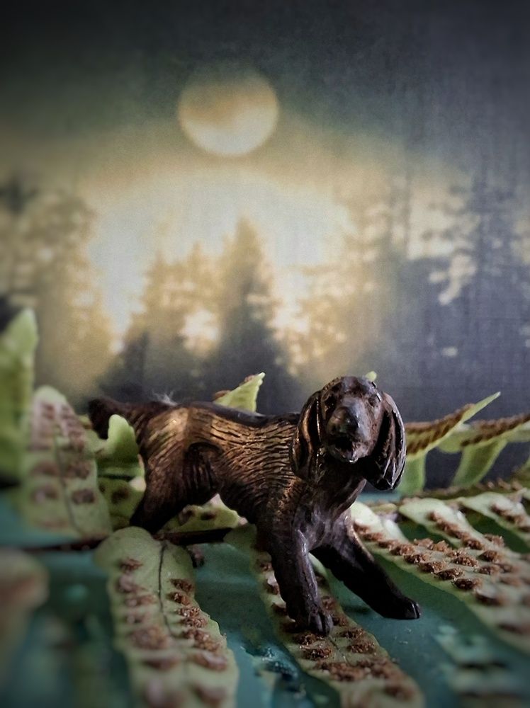 Photograph by Бакшеева Марина