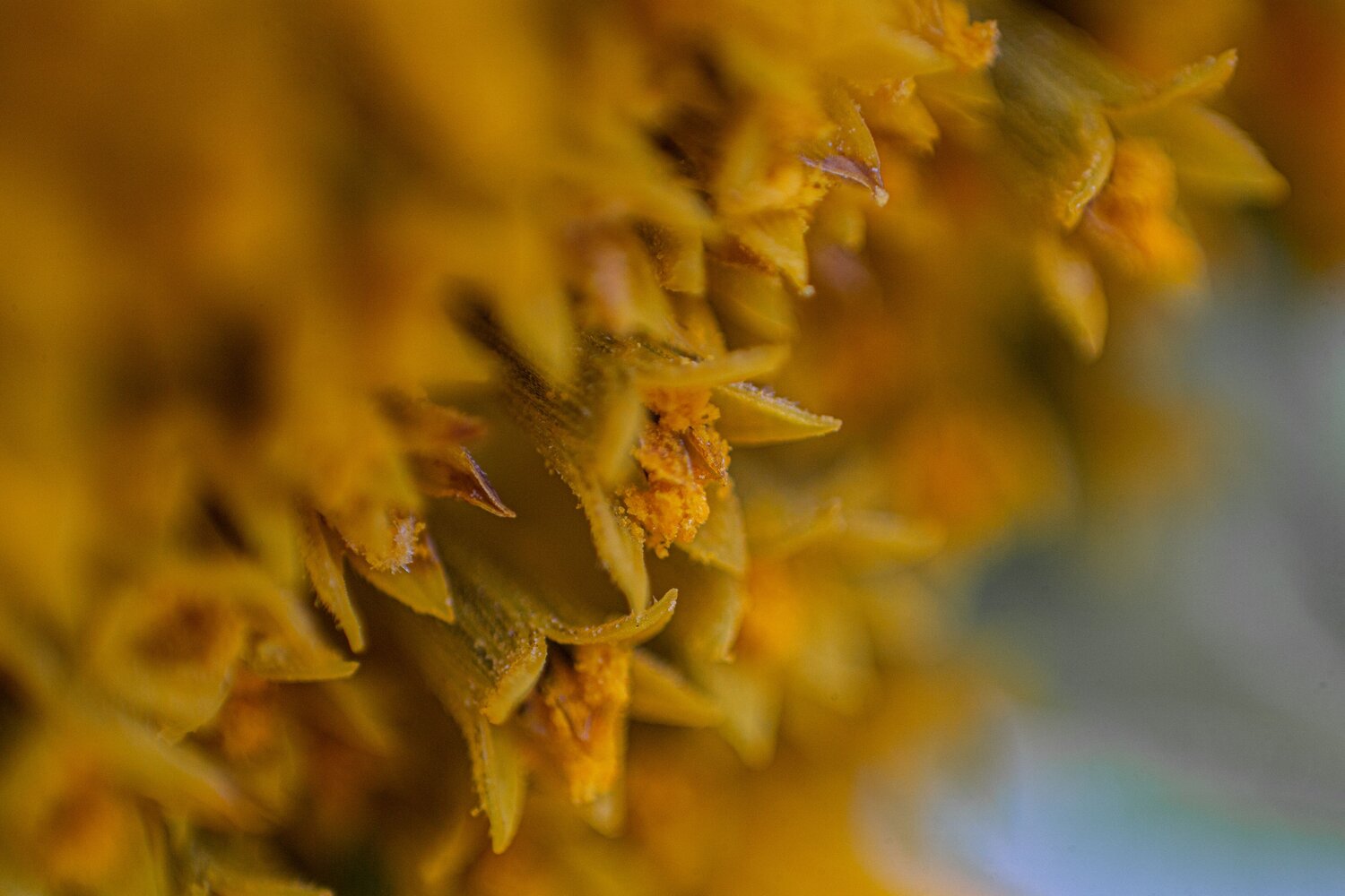 Photo #12761907