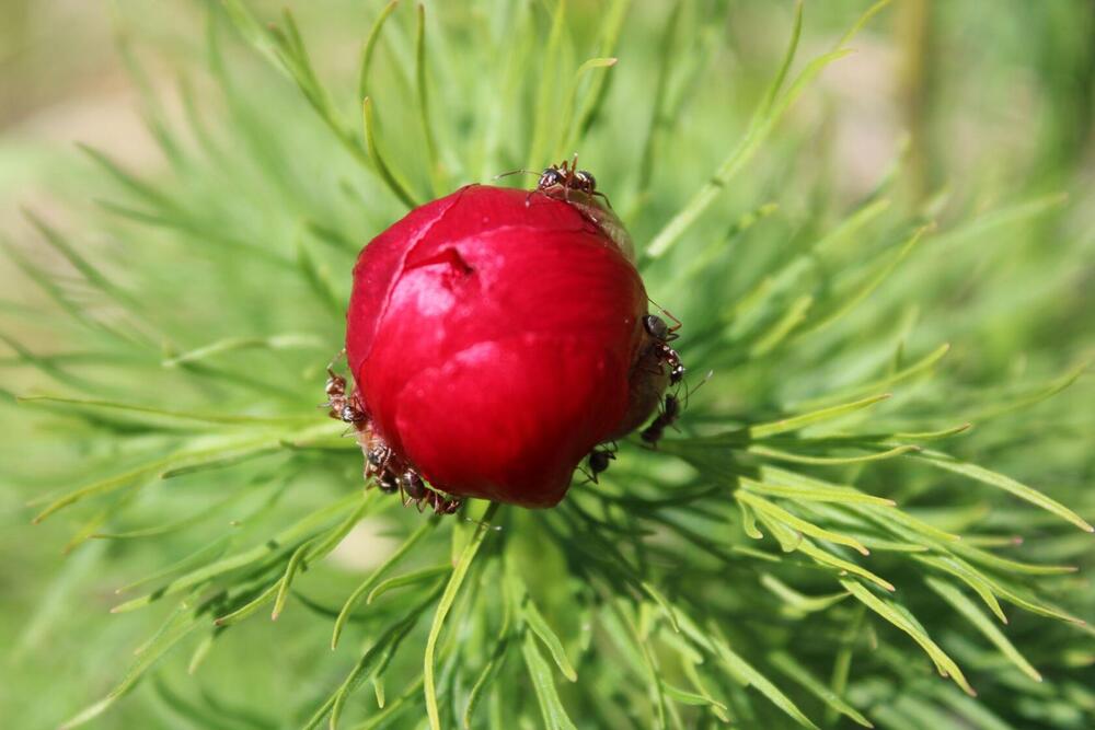 Photograph by Юлия Чурина