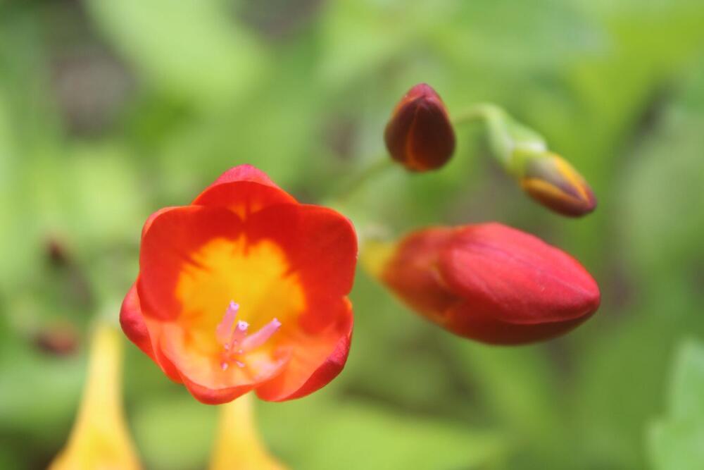 Photograph by Юлия Чурина