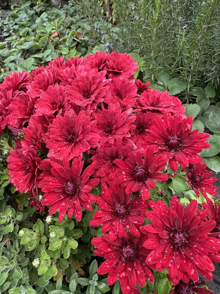 Photograph by Наталья Берон