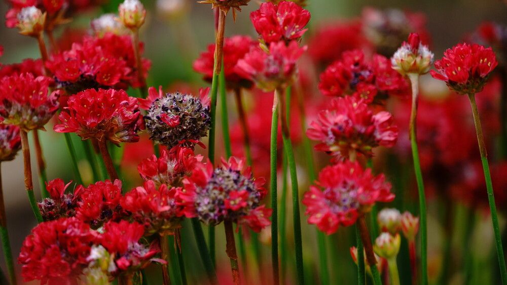 Фотография автора Sergej Roor