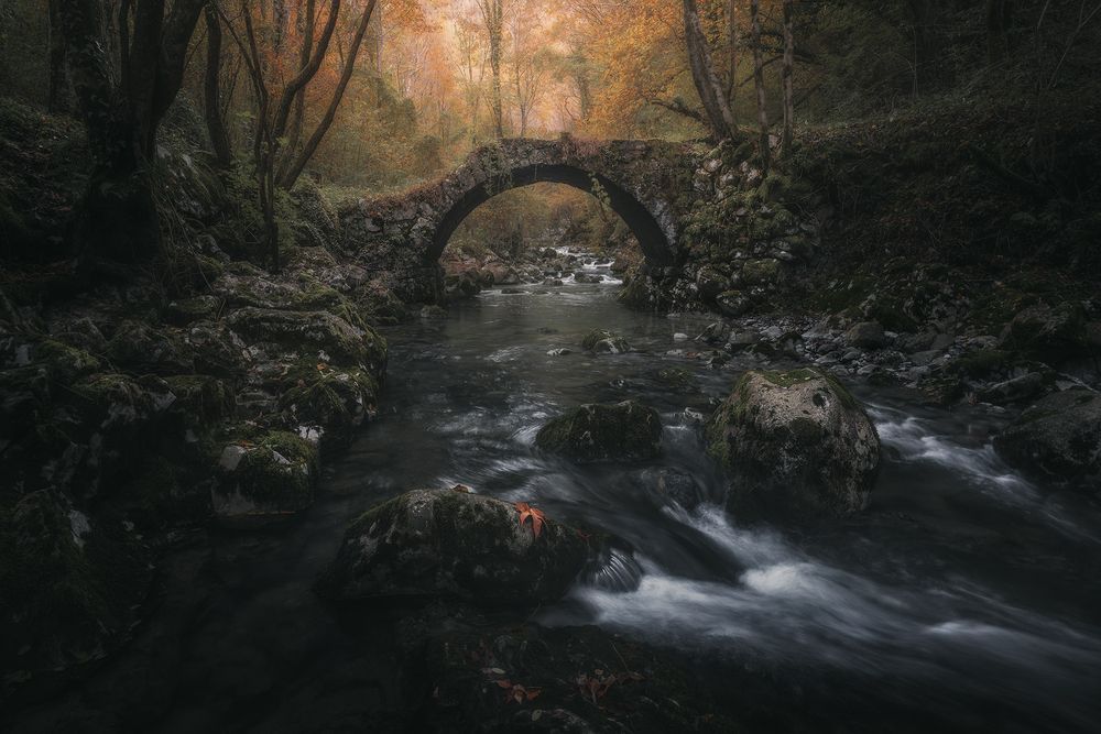 Photograph by de Franzoni Thomas