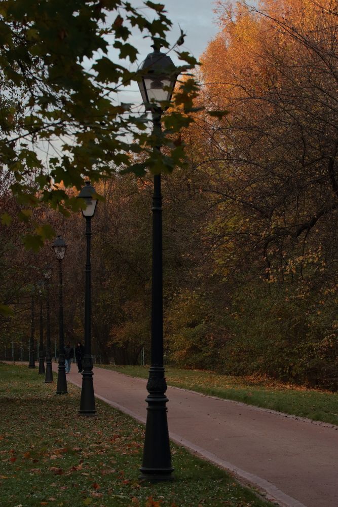 Фотография автора Александр Катацумури