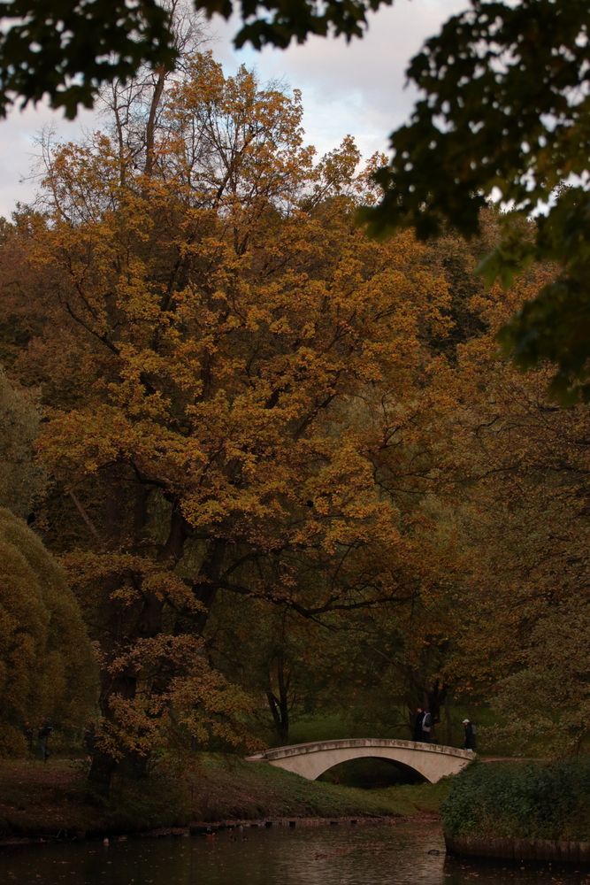 Фотография автора Александр Катацумури