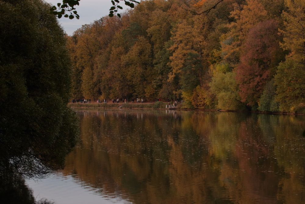 Фотография автора Александр Катацумури