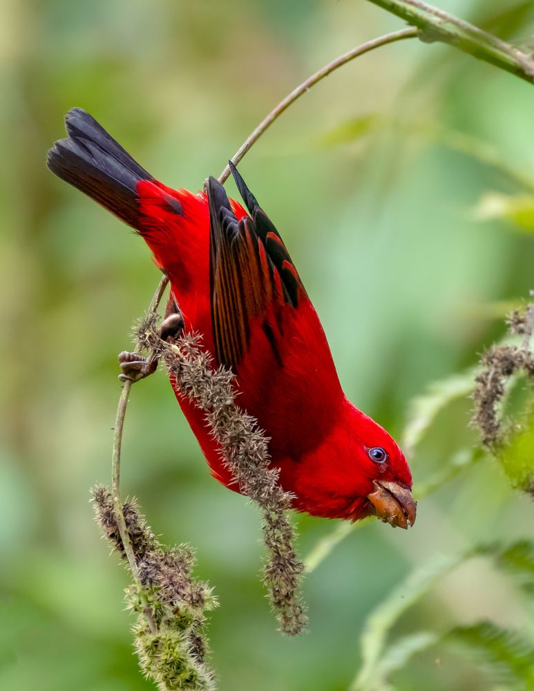 Фотография автора Grace Rani