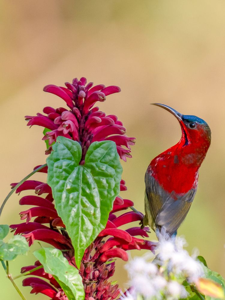 Фотография автора Grace Rani