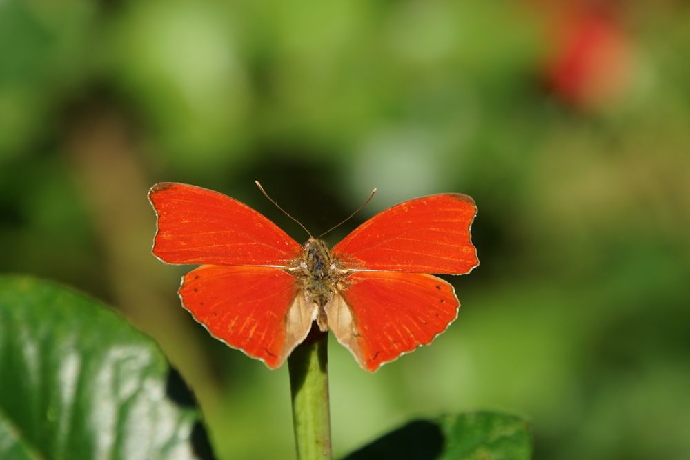 Photograph by сергей мишаков