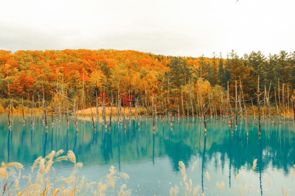 Фотография автора Kevin Christonar