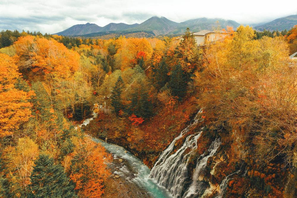 Фотография автора Kevin Christonar