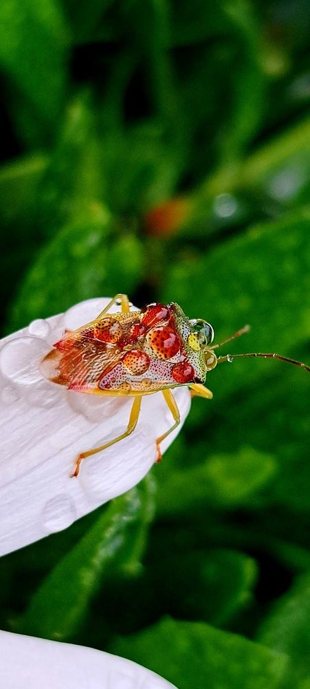 Photograph by Галина Перепечаева
